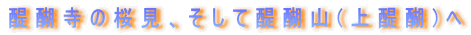 펛̍AđR() 