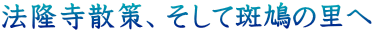@UAĔ̗