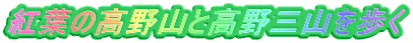 gt̍RƍOR