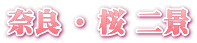 ޗ E  i