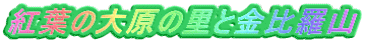 gt̑匴̗Ƌ䗅R