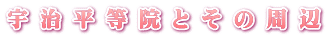 F@Ƃ̎